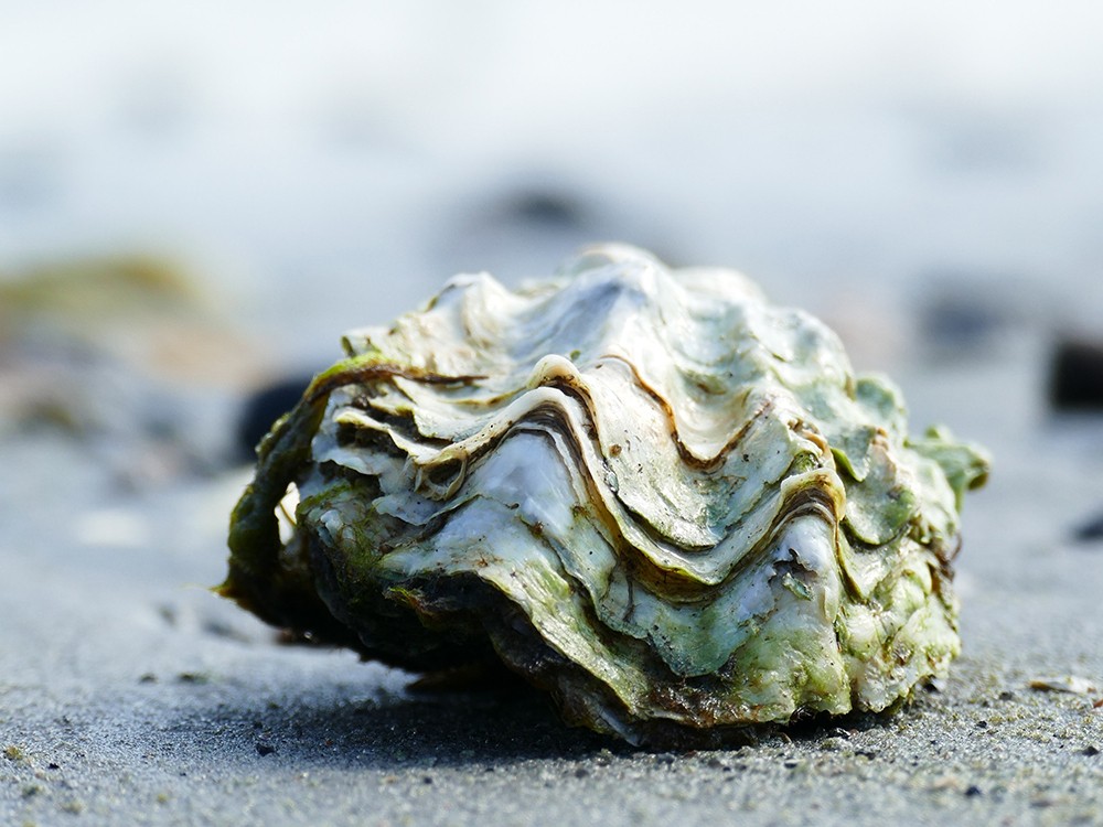 1730772644625337.jpg